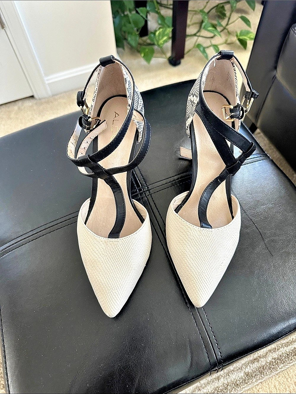ALDO Pointed-Toe Heels in White & Black
